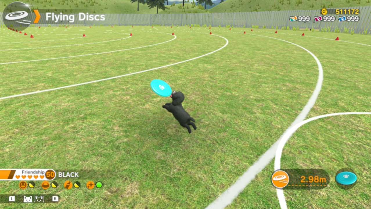 Скриншот игры Little Friends: Dogs & Cats для Switch