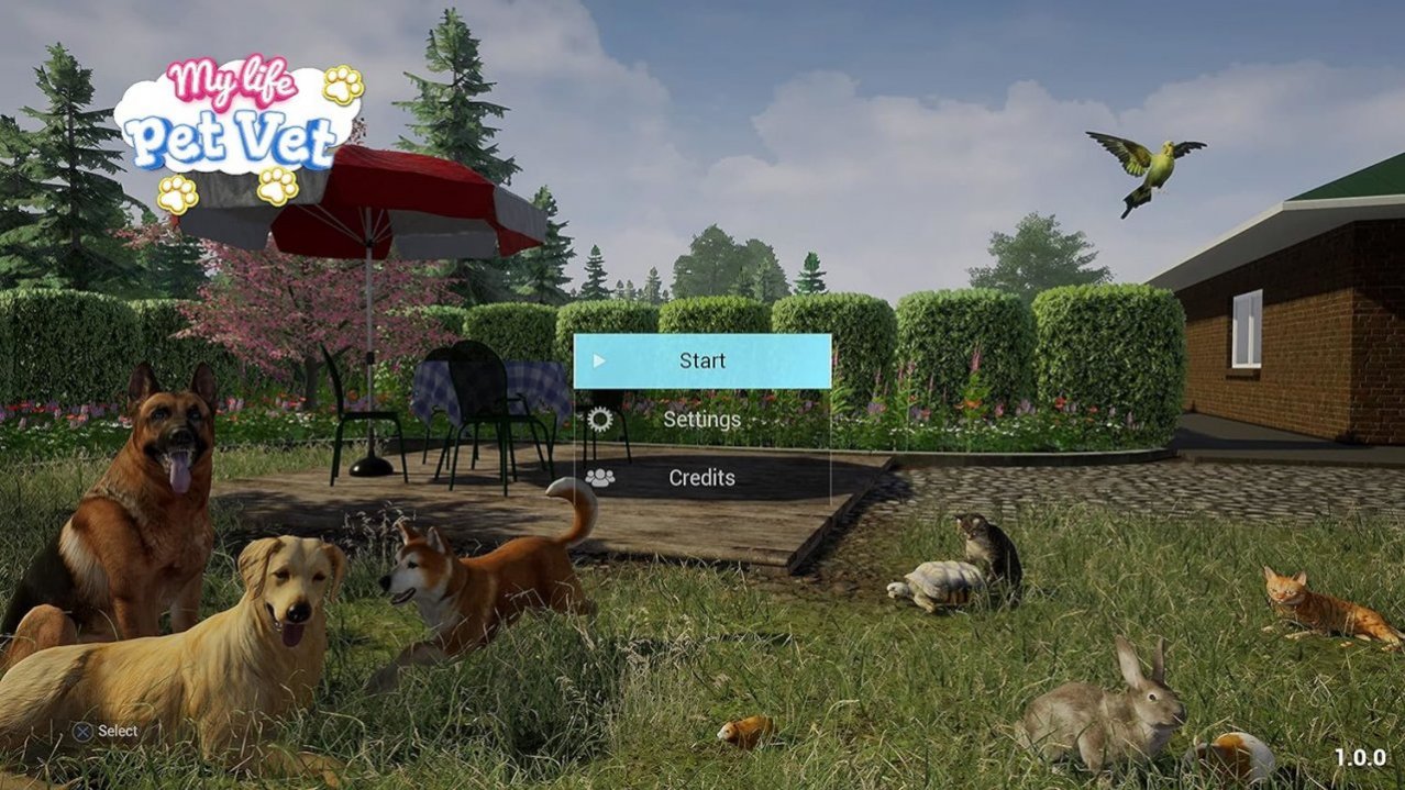 Скриншот игры My Life: Pet Vet для Ps5