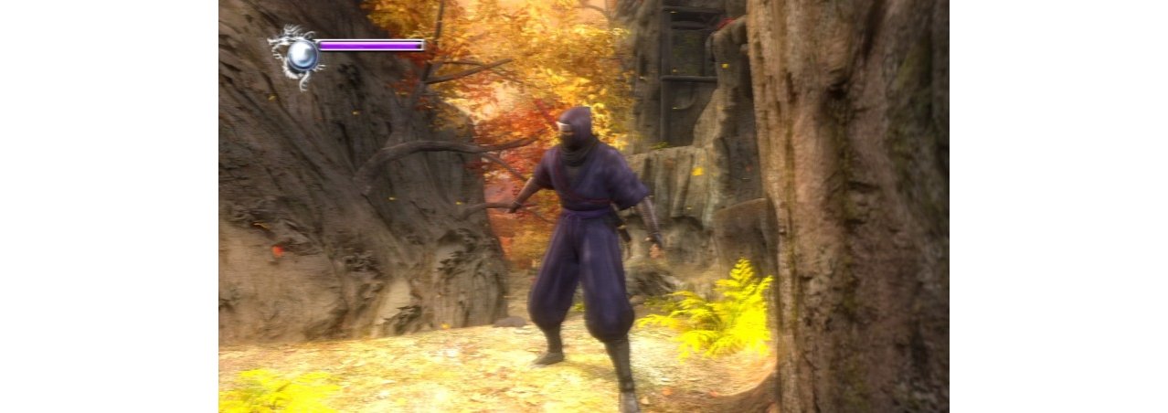 Скриншот игры Ninja Gaiden Sigma (US) (Б/У) для PS3