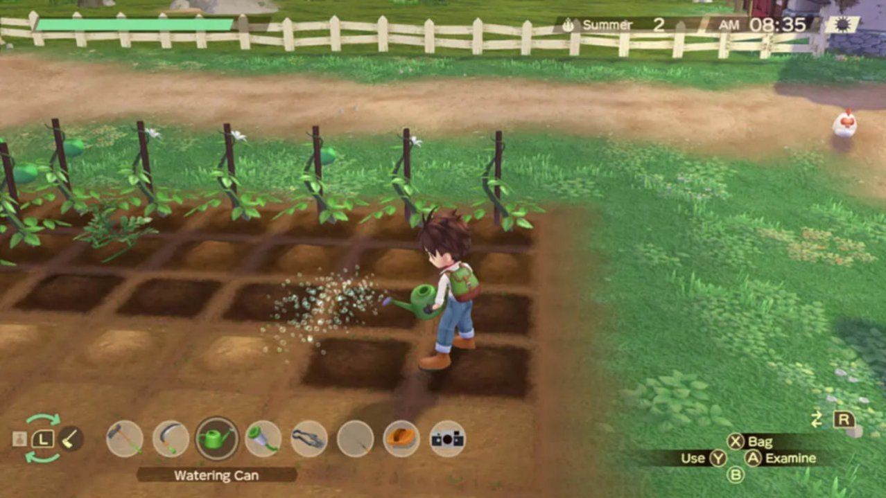 Скриншот игры Story of Seasons: A Wonderful Life для Switch