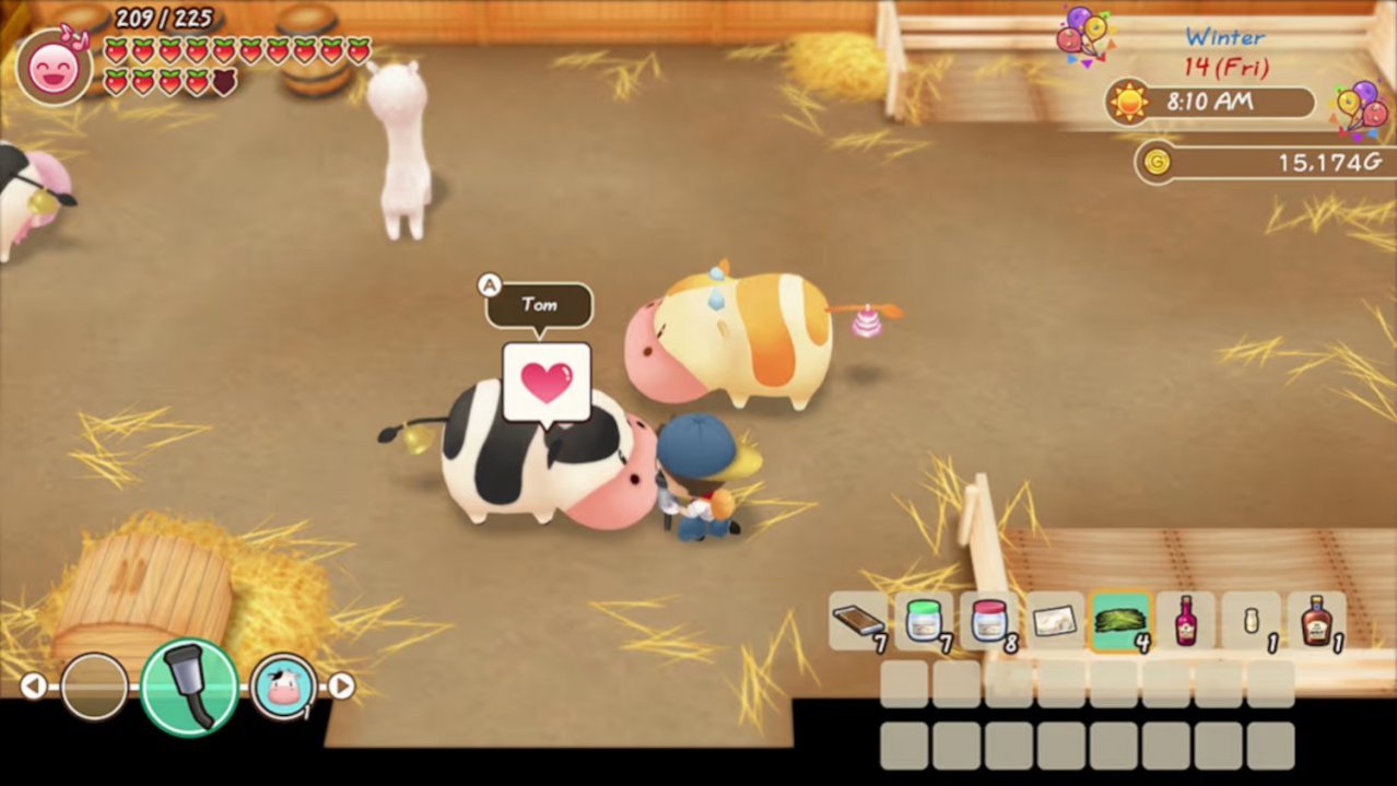 Скриншот игры Story of Seasons: Friends of Mineral Town для Switch