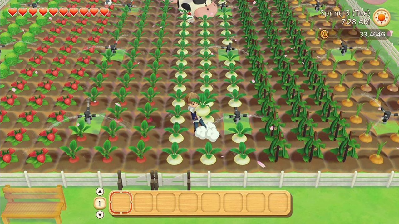 Скриншот игры Story of Seasons: Pioneers of Olive Town для Switch