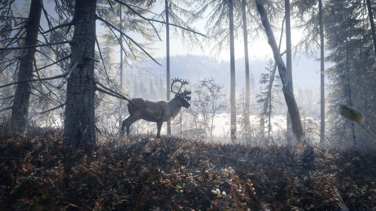 Скриншот игры TheHunter Call of the Wild 2019 Edition (US) для Ps4