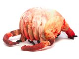 Скриншот № 0 из игры Плюшевый ХЭДКРАБ (Half Life Plush Head Crab)