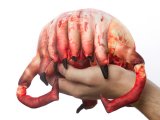 Скриншот № 2 из игры Плюшевый ХЭДКРАБ (Half Life Plush Head Crab)