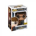 Скриншот № 0 из игры Фигурка Funko POP! Vinyl: Harry Potter: Harry with Hedwig #31