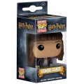 Скриншот № 0 из игры Брелок Funko Pocket POP! Keychain: Harry Potter: Hermione Granger