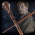 Скриншот № 1 из игры Волшебная палочка Гарри Поттер: Римус Люпин