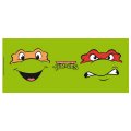 Скриншот № 1 из игры Кружка ABYstyle: TMNT Raphael & Michelangelo