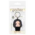 Скриншот № 0 из игры Брелок Pyramid: Harry Potter: Severus Snape