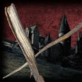 Скриншот № 1 из игры Волшебная палочка Гарри Поттер: Геллерт Грин-де-Вальд