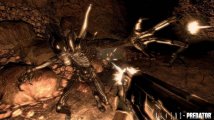 Скриншот № 0 из игры Aliens vs Predator (Б/У) [PS3]