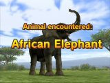 Скриншот № 1 из игры Animal Kingdom: Wildlife Expedition (US) (Б/У) [Wii]