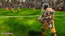 Скриншот № 0 из игры Blood Bowl 2 [PS4]