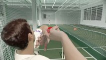 Скриншот № 1 из игры Cricket 22 [Xbox]