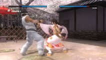 Скриншот № 1 из игры Dead or Alive 5 [PS Vita]