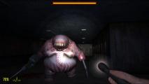 Скриншот № 1 из игры Dementium The Ward [PS5]