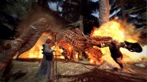 Скриншот № 1 из игры Dragon's Dogma: Dark Arisen [NSwitch]