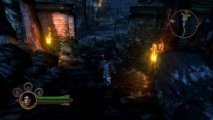 Скриншот № 1 из игры Dungeon Siege 3 [PC, Jewel]
