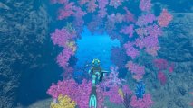 Скриншот № 0 из игры Endless Ocean [WII]