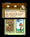 Скриншот № 0 из игры Harvest Moon: Tale of Two Towns [3DS]