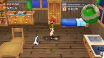 Скриншот № 3 из игры Harvest Moon: The Lost Valley & Harvest Moon: Skytree Village [NSwitch]