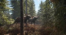 Скриншот № 0 из игры Hunter: Call of the Wild [Xbox One]