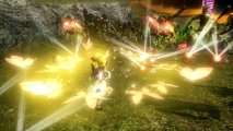 Скриншот № 0 из игры Hyrule Warriors (Б/У) [Wii U]