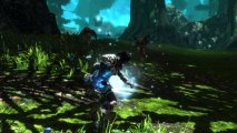 Скриншот № 0 из игры Kingdoms of Amalur: Re-Reckoning — Коллекционное издание [PC]