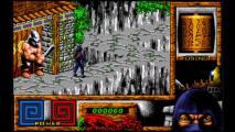 Скриншот № 1 из игры Last Ninja Collection + Bonus Games [NSwitch]