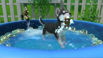 Скриншот № 0 из игры Little Friends: Puppy Island [NSwitch]
