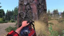 Скриншот № 0 из игры Lumberjack's Dynasty [PS4]