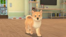 Скриншот № 1 из игры My Universe: Puppies and Kittens (код загрузки) [NSwitch]