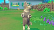 Скриншот № 3 из игры My Universe: Puppies and Kittens (код загрузки) [NSwitch]