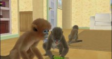 Скриншот № 0 из игры Petz: Monkey Madness [Wii]