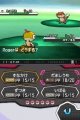 Скриншот № 0 из игры Pokemon Black Version [DS]