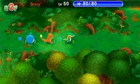 Скриншот № 1 из игры Pokemon Super Mystery Dungeon [3DS]