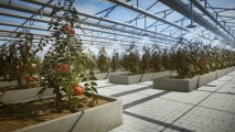 Скриншот № 0 из игры Pure Farming 2018 (US) [PS4]