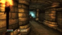 Скриншот № 3 из игры Elder Scrolls IV (4): Oblivion Remastered - Deluxe Edition [PS5]