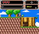 Скриншот № 0 из игры Wonder Boy Collection (US) [PS4]