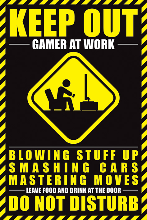 Постер Pyramid Maxi Poster: Gamer At Work